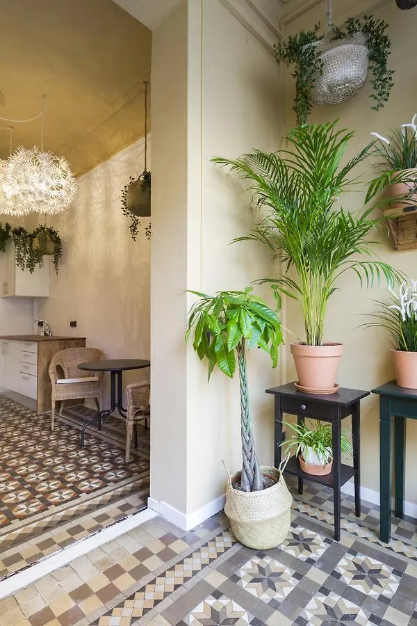 Hotel Casa Maca Barcelona (Adults Only)